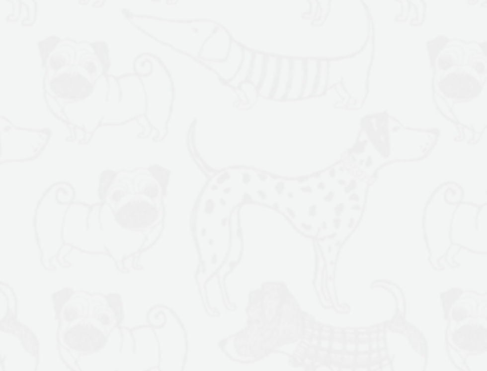 back_bg_2.jpg