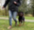 F18F36D4-7C10-4695-90C5-3BC24C59C391_edited.jpg