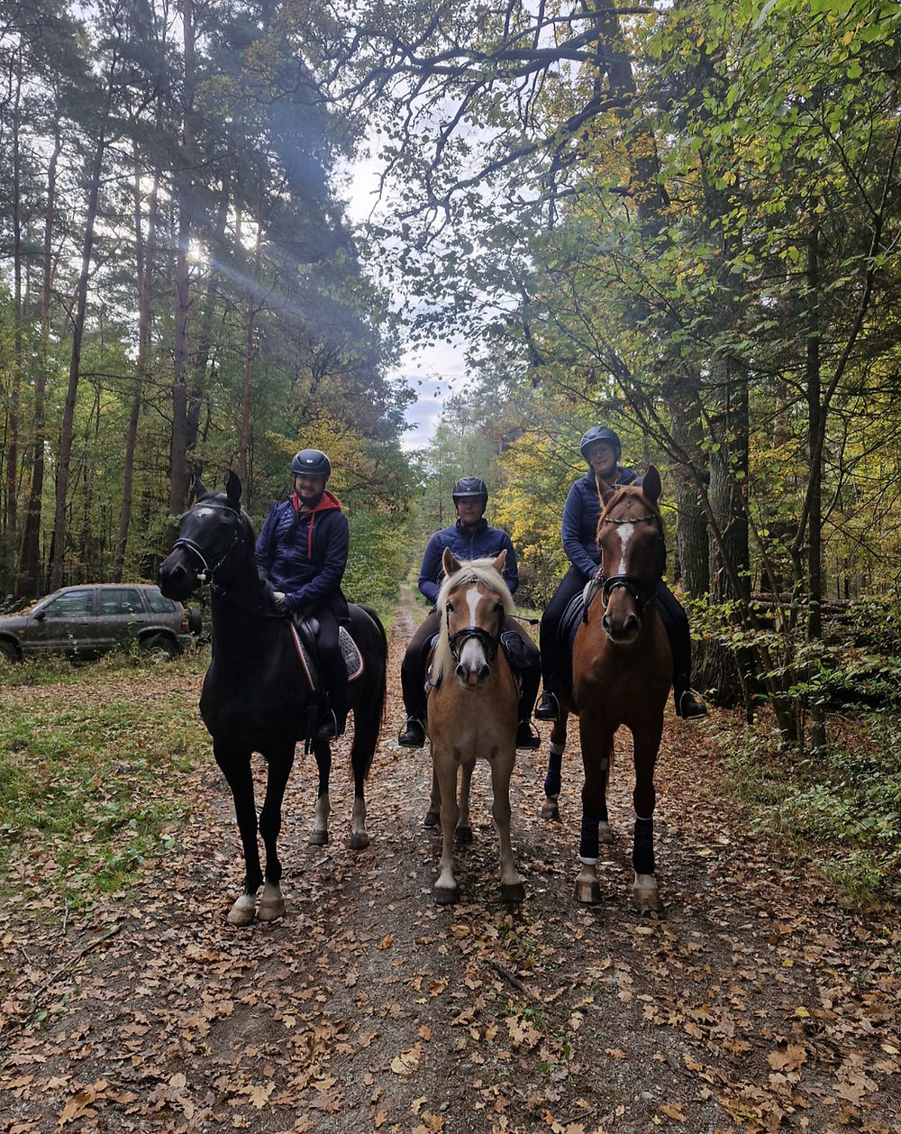 Drei Reiter auf Pferden im Herbstwald