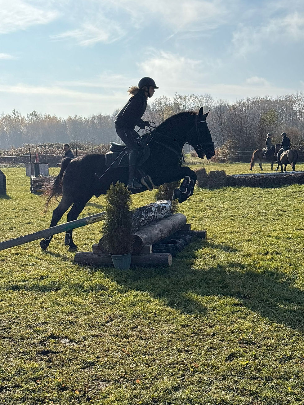 Pferd und Reiter springen über Hindernis auf dem Reithof Leitenwald