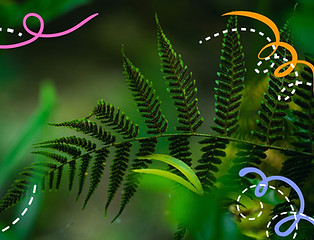 Event Image Making Poetry Nature Voice.jpg
