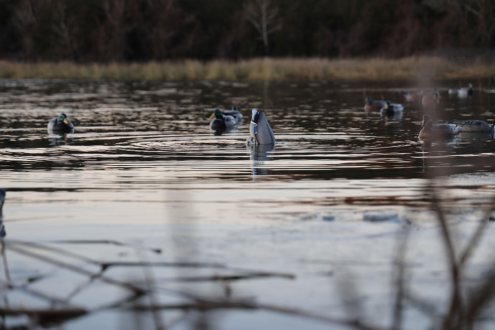 Thumbnail: Jahpoo Motion Duck Decoy Creating ripples on the water