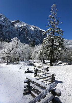 yosemite6.jpeg