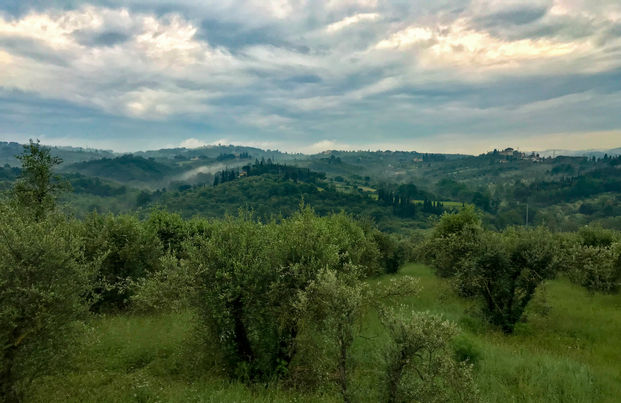 florence8.jpeg