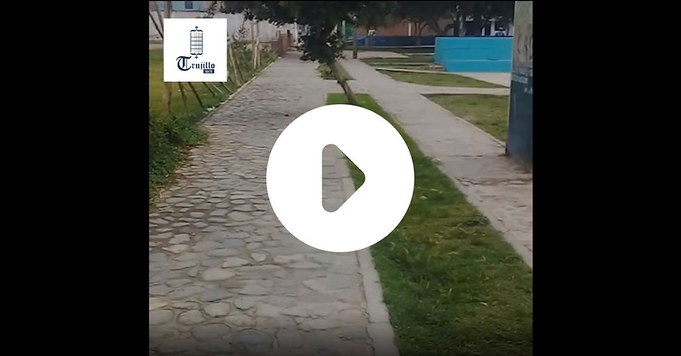 DOS REALIDADES DIFERENTES EN EL PARQUE  GRANDE LOS NARANJOS