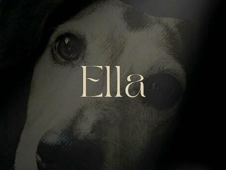 ELLA