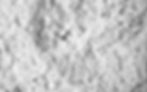 AdobeStock_14865683.jpeg