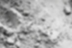 AdobeStock_1046404760.jpeg