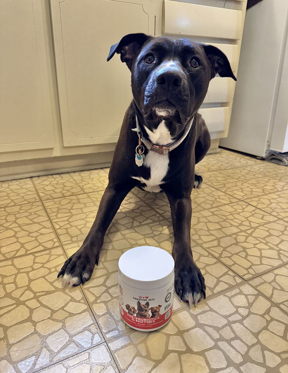 Zoey Aspen 2.jpg