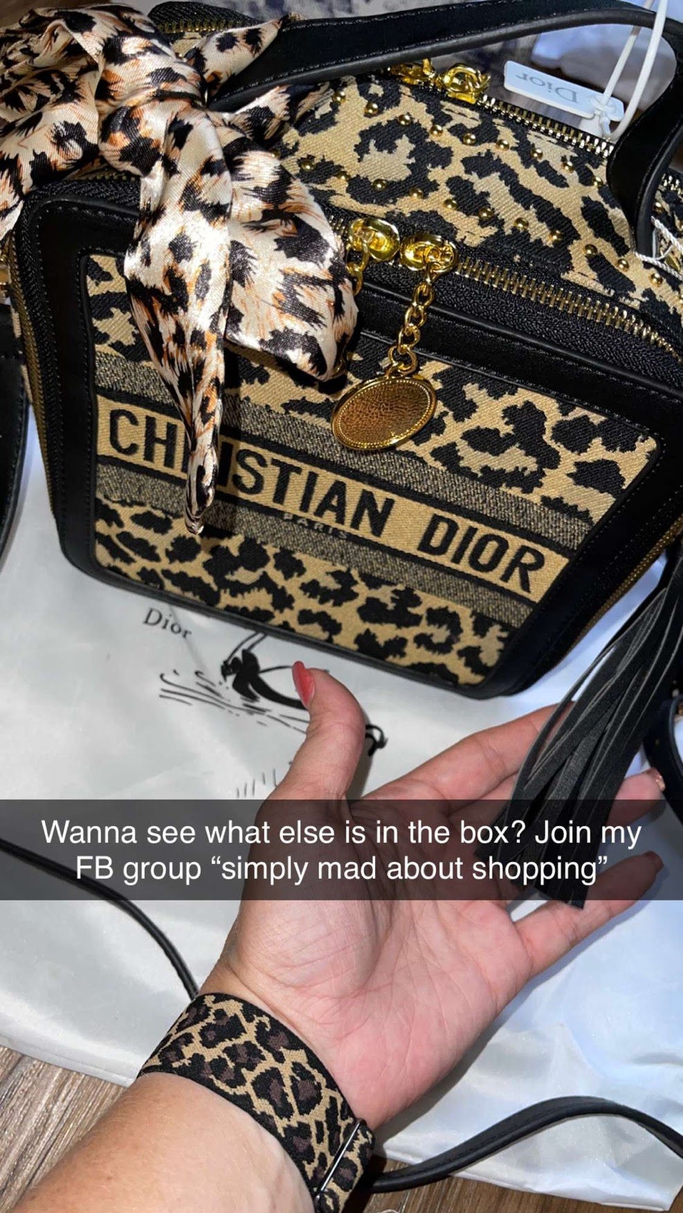 DIOR Inspired Box Bag - CHEETAH