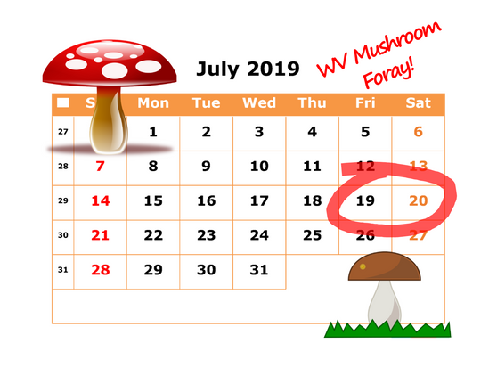 2019 WV Mushroom Foray News