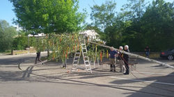 Maibaum1-768x431