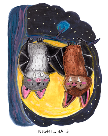 Night bats