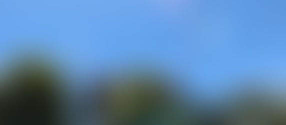 Community Socials at The Village at San Antonio Center in Mountain View