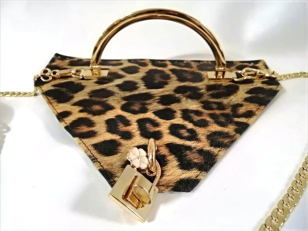 Thumbnail: Kit Leopardo