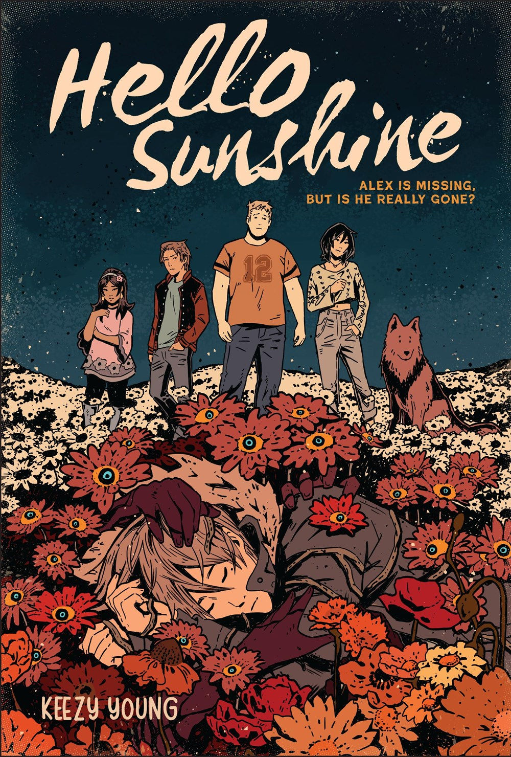 Hello Sunshine (A Graphic Novel) (Paperback)