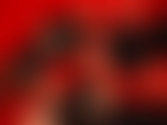 NUWE HOOFSTUK BREEK AAN VIR DIE GROEP ROOKSEIN