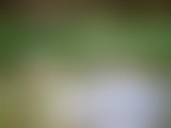 Intimacy and Its Five Types