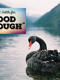 Enemy of The Best Is Good