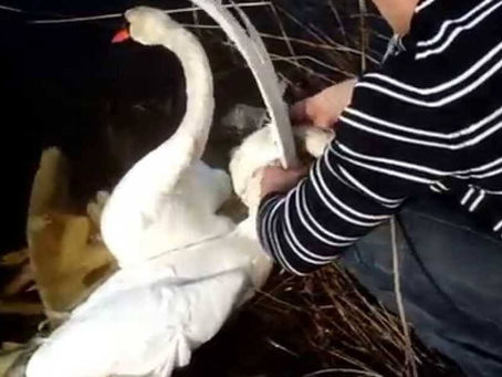 The Time I Tried To Fix It Myself.