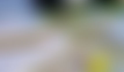 The Importance of Place