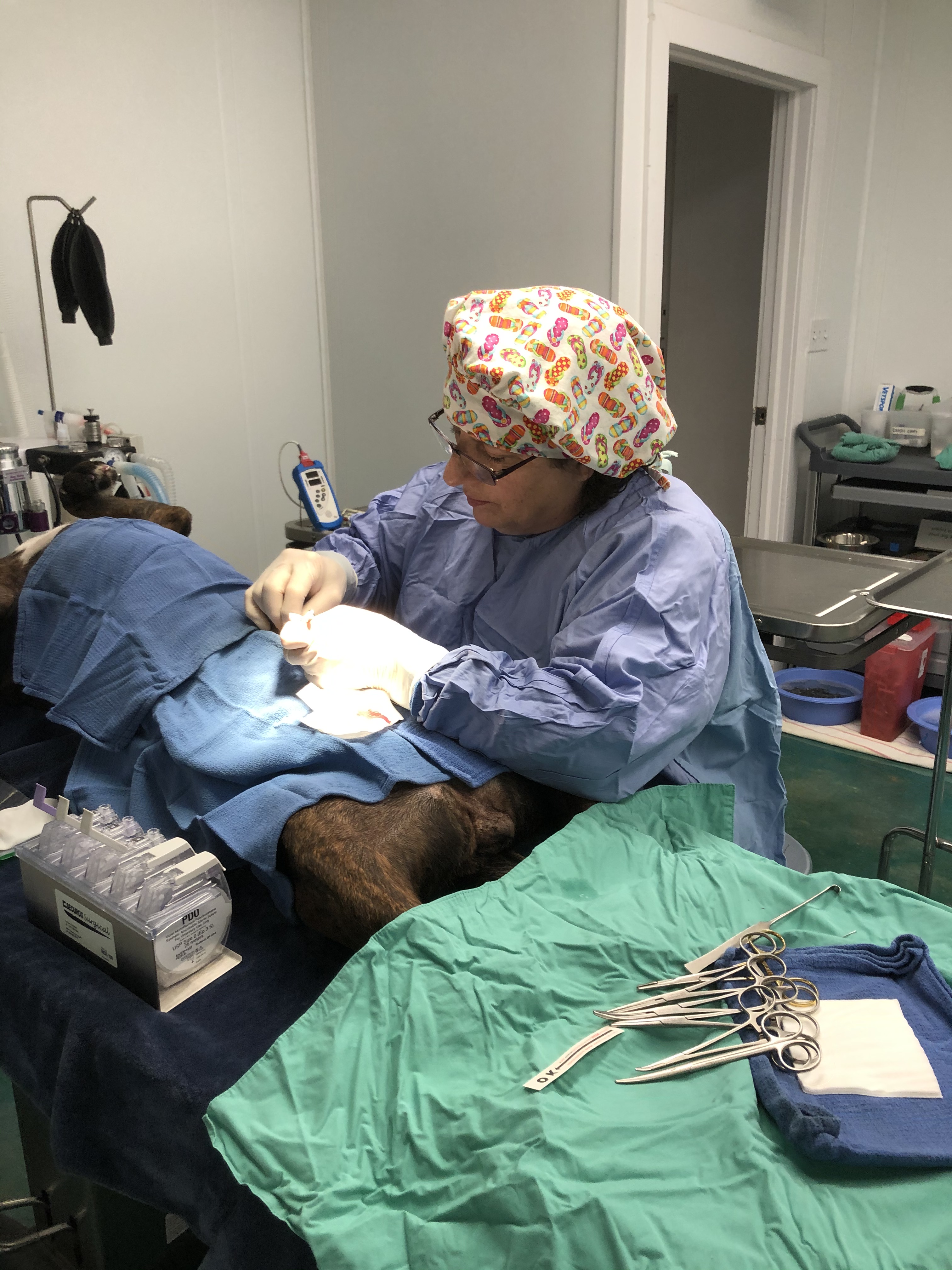 MEET THE STAFF The Spay Neuter Project