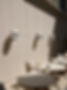 183A8434_edited.jpg