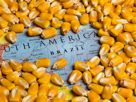 Agribusiness had a crucial participation in the largest surplus registered by the Brazil