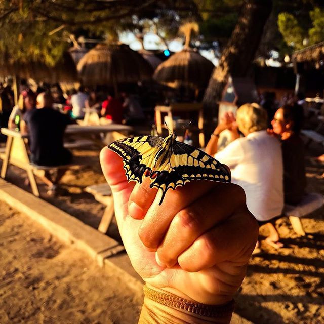 #goodmorning #chirincana #ibiza2018 #nof