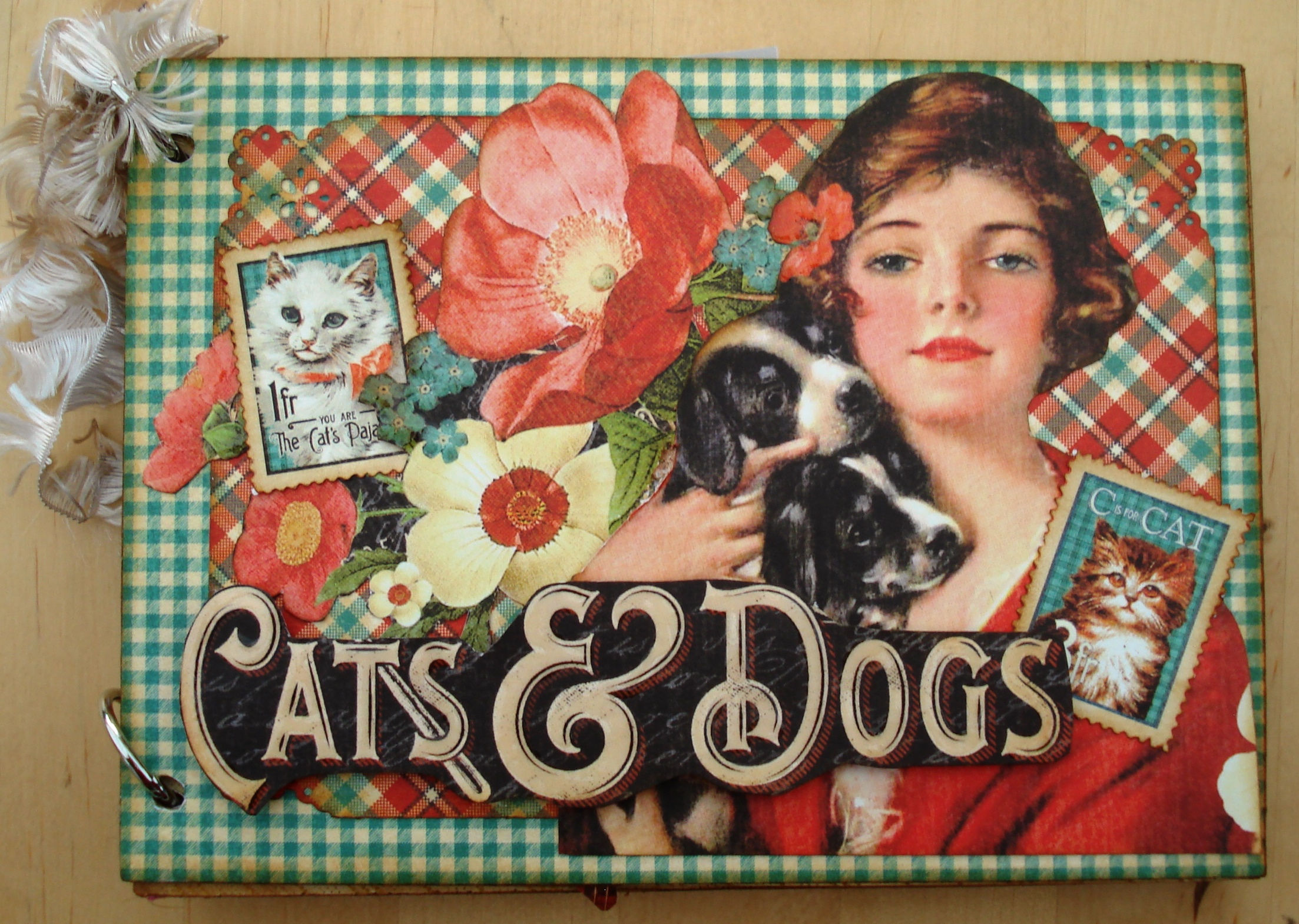 Cats and Dogs- Ref C9