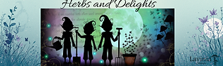 banner carte cadeau (3).png