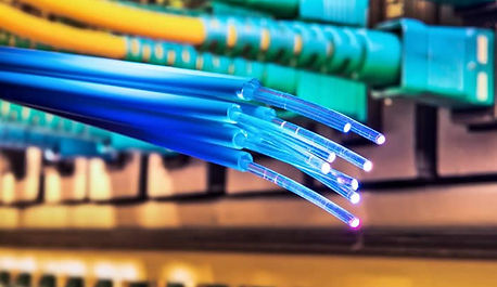 fibra1.jpg