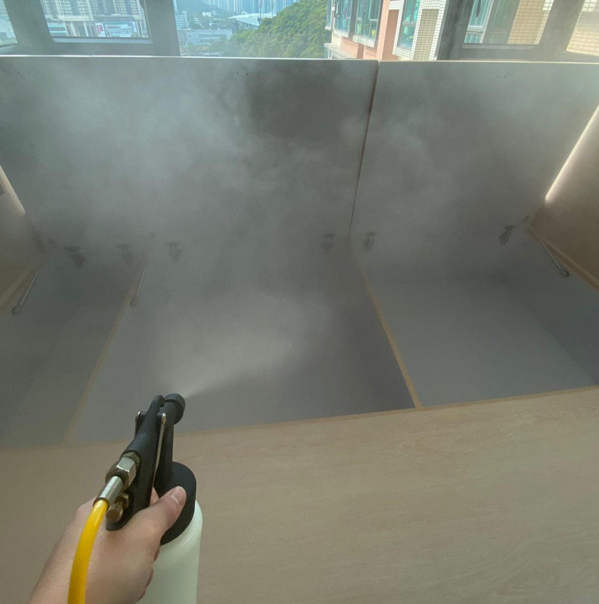 淨化甲醛滅蟲清潔消毒套餐