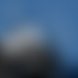 אז מה הסיפור מאחורי הקריירה של בן שני?