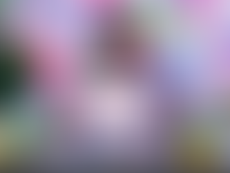 נלמד לצייר ציפורים