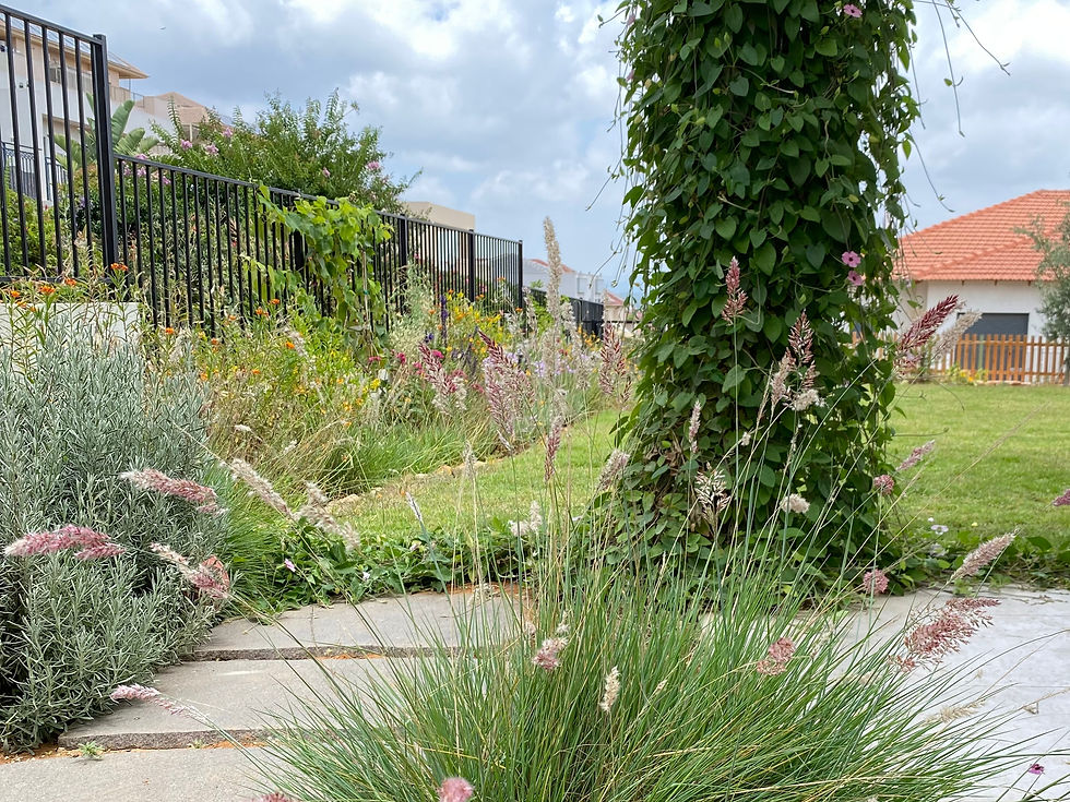 גינה טבעית בזכרון יעקב