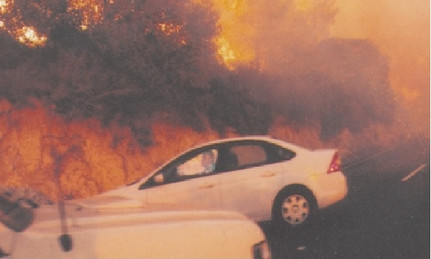  2.12.2010 - תמונתו האחרונה בחיים