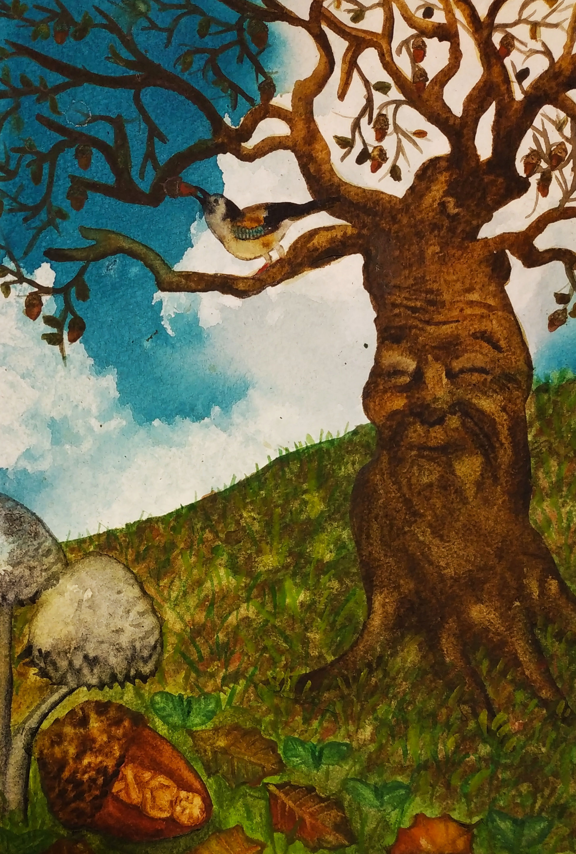 תינוק הבלוט