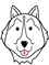 dog4.png