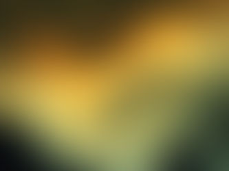 איזה בית נכון עבורי?