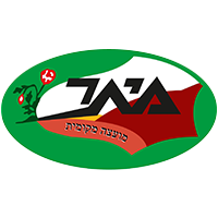 מיתר