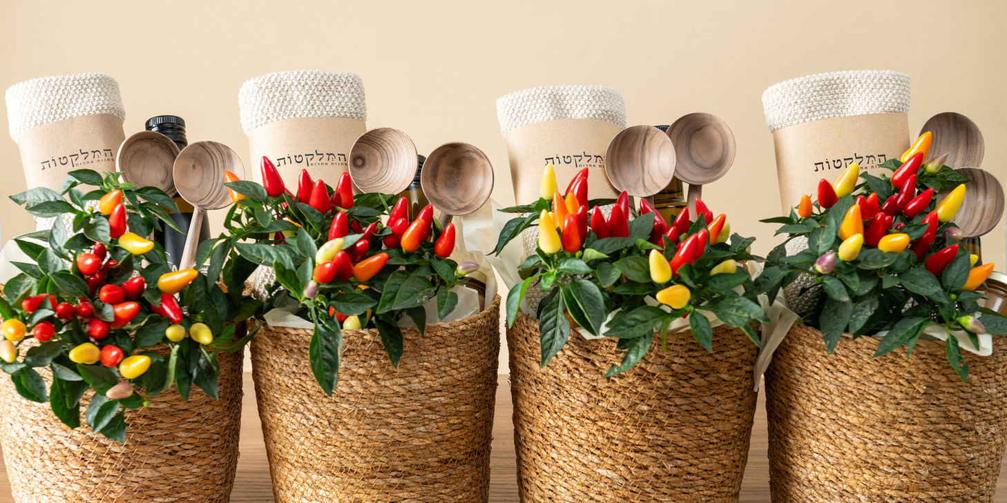 ראש השנה - המלקטות מארז