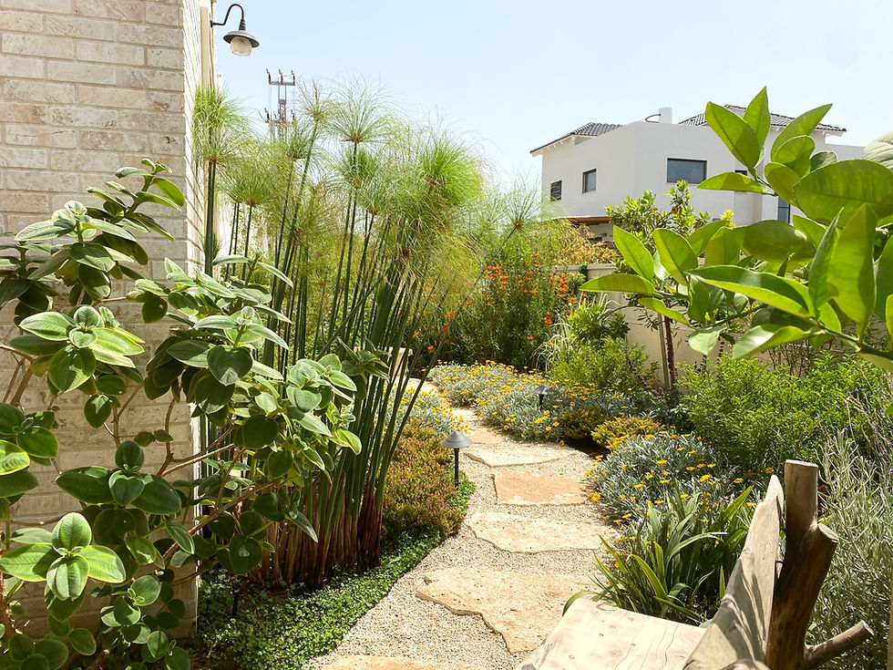 הגינה המשפחתית בבנימינה