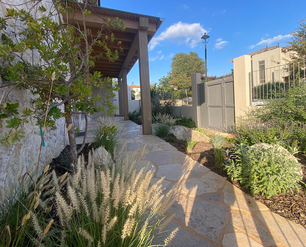 גינה ים תיכונית בגבעת עדה