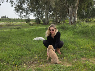 מג'ינגול לסינכרון: פרדוקס האהבה בפרק ב'