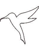 bird3.png