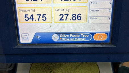 איך בודקים איכות של שמן זית?