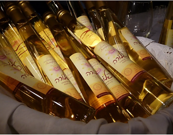 פסטיבל היין Salute 2015 בחיפה