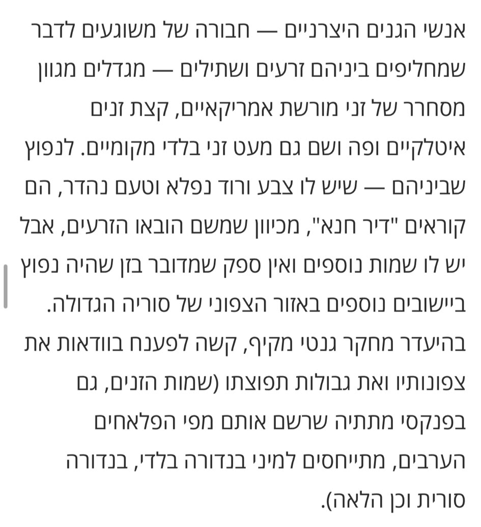 מאמר עגבניות הארץ