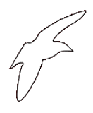bird2.png